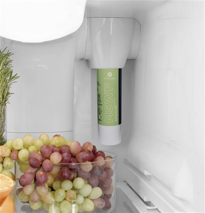 GE MSWF refrigerator water filter replacement cartridge -2