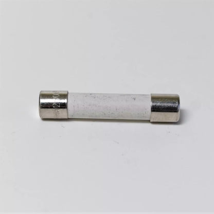 CF20SB 20 Amp Slow Blow Ceramic Fuse for Microwaves